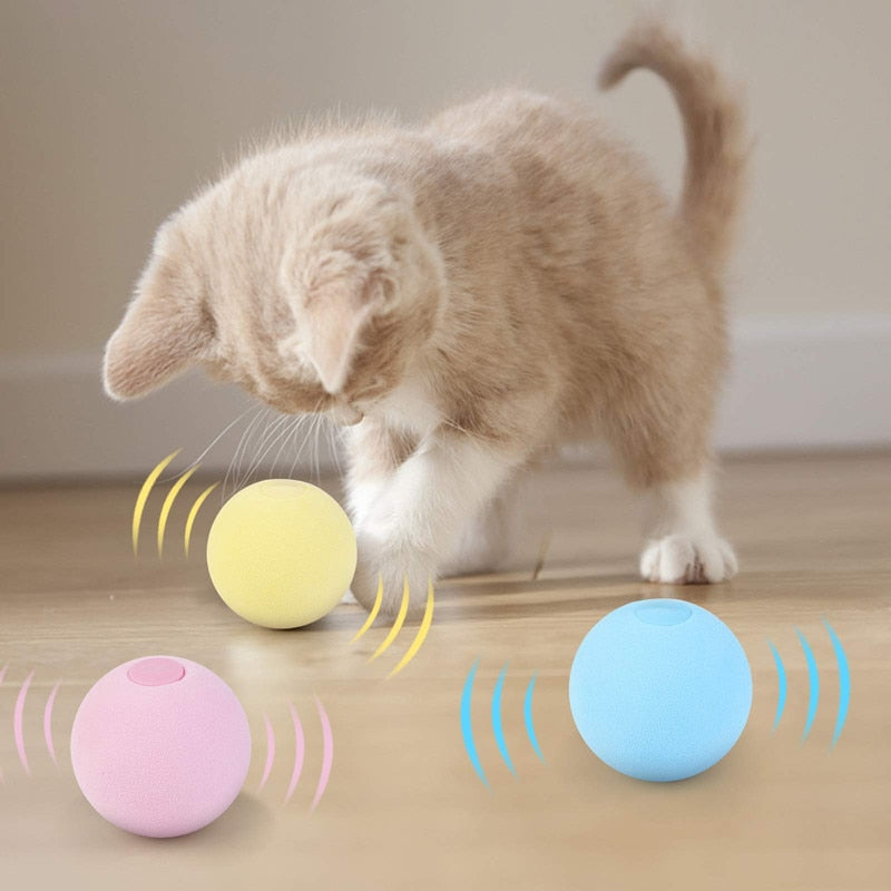 Fun Interactive Cat Ball