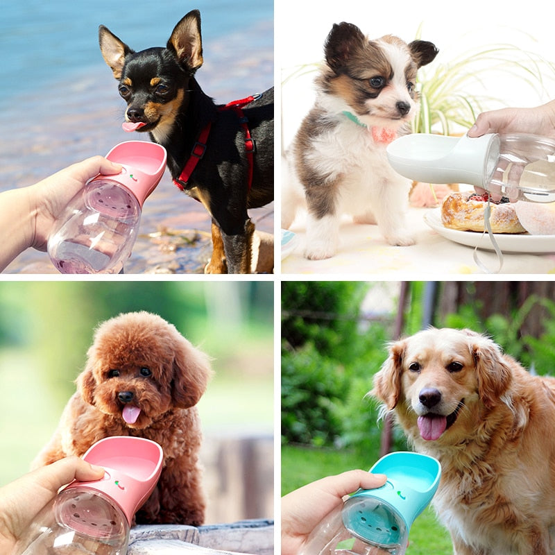 Portable Dog or Cat Water Bottle