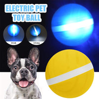 Thumbnail for Electric Toy Ball for all Furry Friends