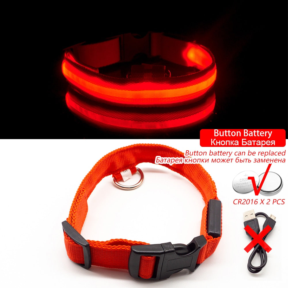 Safety Led Dog Collar