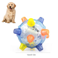 Thumbnail for LED Bouncy Dog Toy