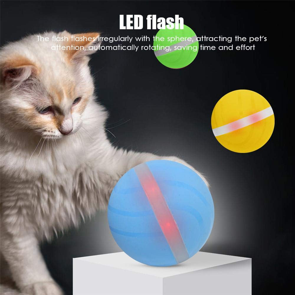 Electric Toy Ball for all Furry Friends