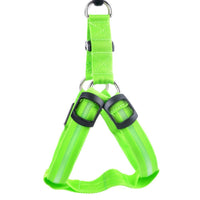 Thumbnail for Safety LED Dog Safety Harness