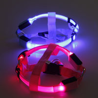 Thumbnail for Safety LED Dog Safety Harness