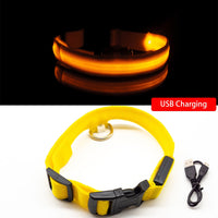 Thumbnail for Safety Led Dog Collar