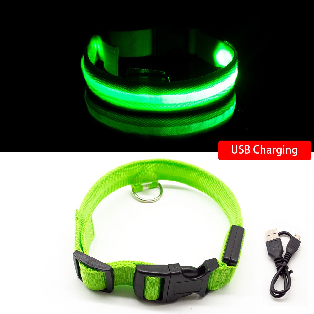 Safety Led Dog Collar