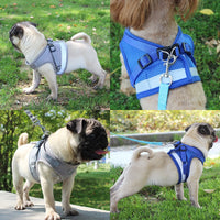 Thumbnail for Dog Harness and Leash Set