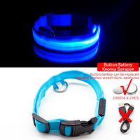 Thumbnail for Safety Led Dog Collar