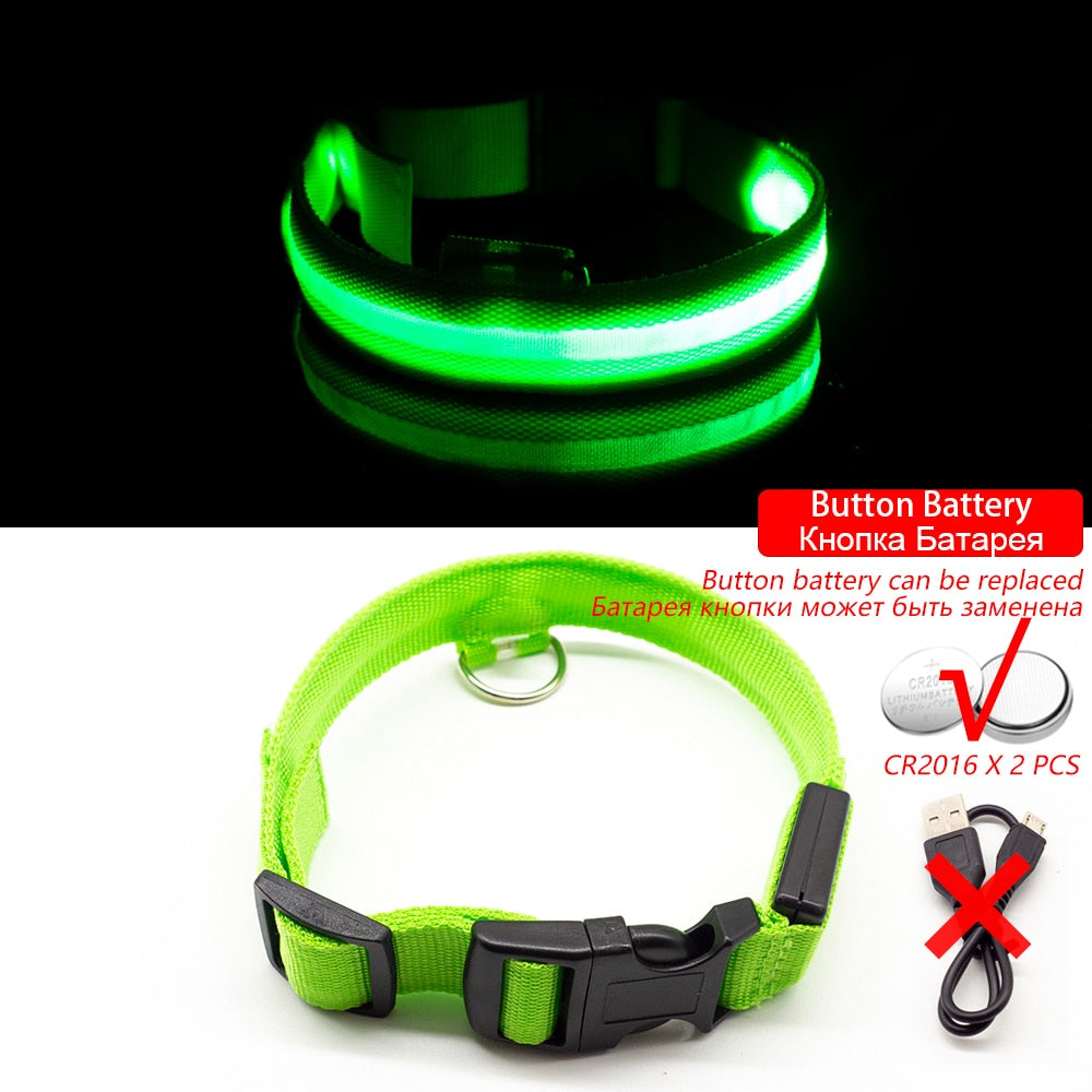 Safety Led Dog Collar