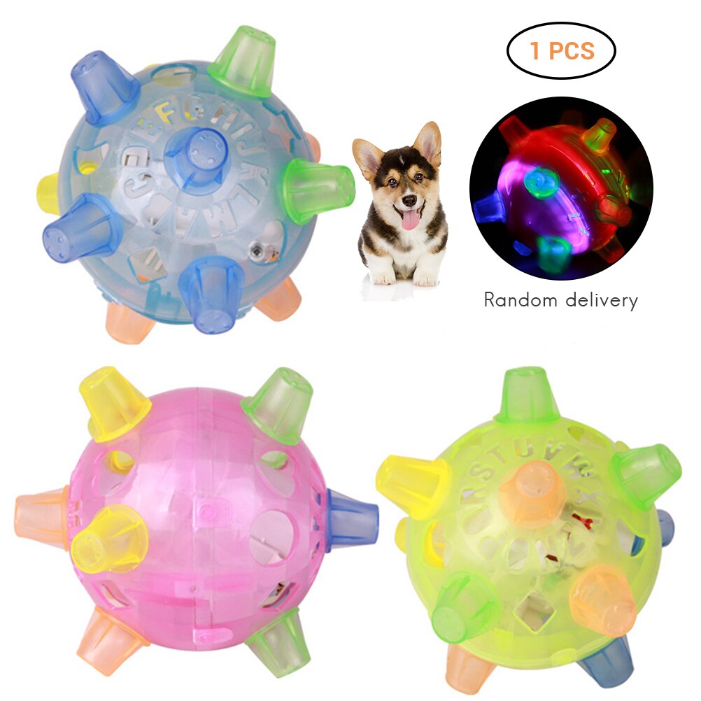 LED Bouncy Dog Toy