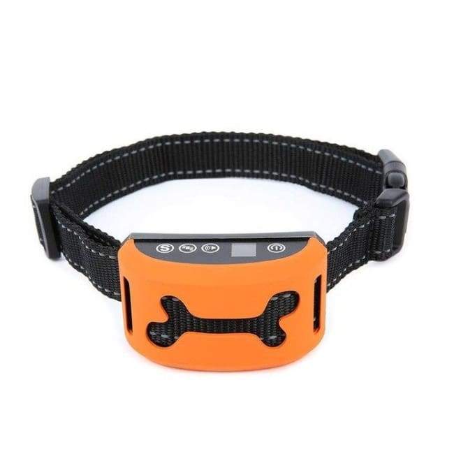 Training Collar for Your Little Barkers