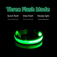 Thumbnail for Safety Led Dog Collar