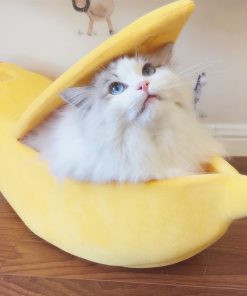 Adorable Banana Shaped Cat Bed