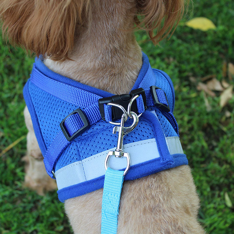 Dog Harness and Leash Set