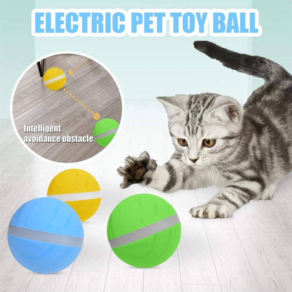 Electric Toy Ball for all Furry Friends