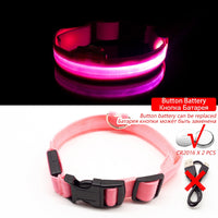 Thumbnail for Safety Led Dog Collar