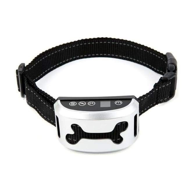 Training Collar for Your Little Barkers