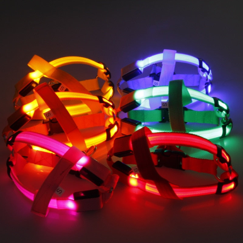 Safety LED Dog Safety Harness