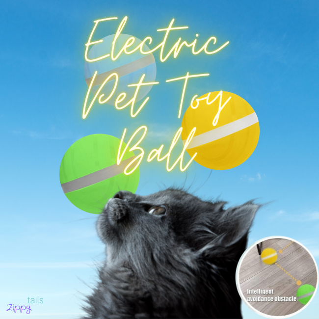 Electric Toy Ball for all Furry Friends