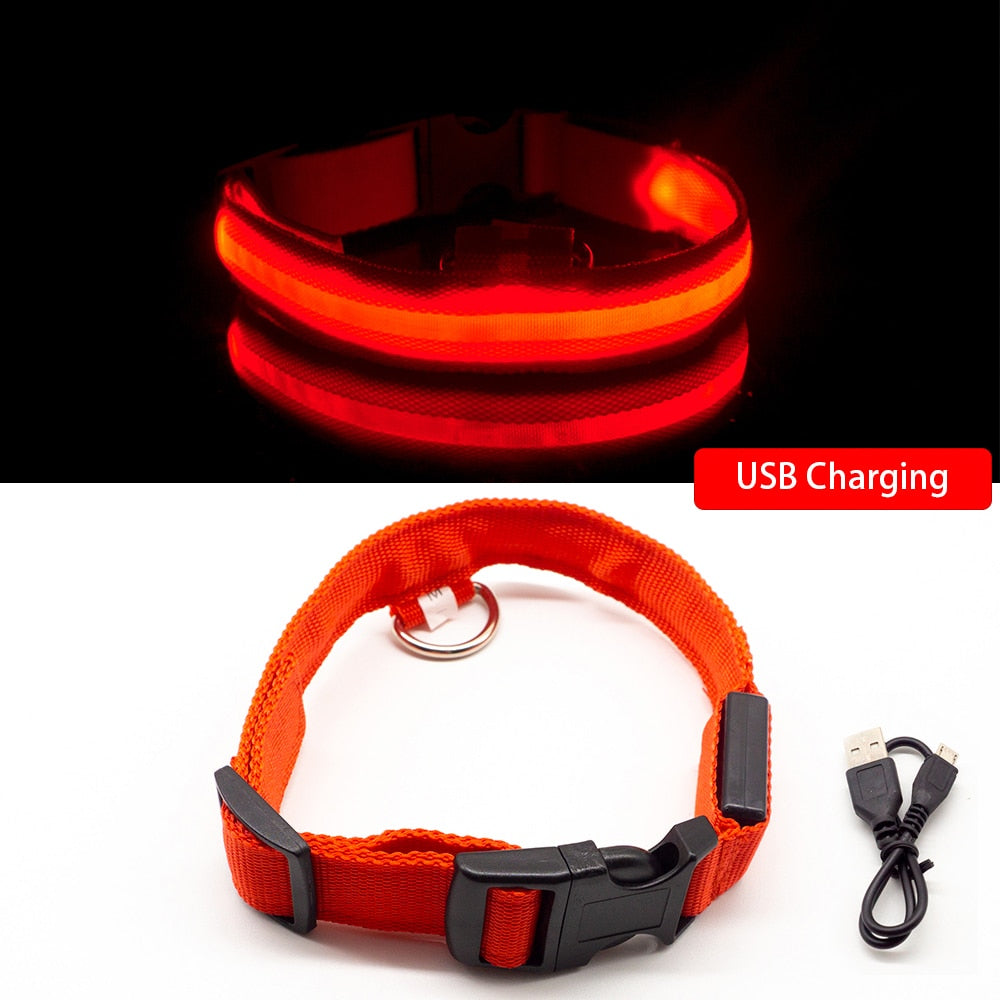 Safety Led Dog Collar