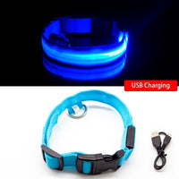 Thumbnail for Safety Led Dog Collar