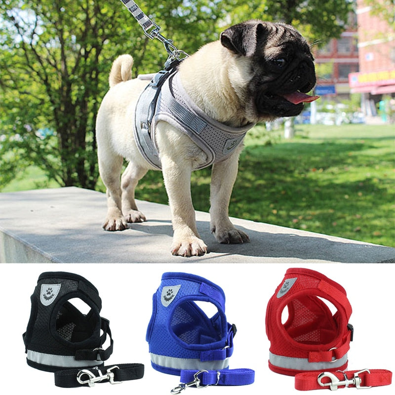 Dog Harness and Leash Set