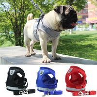 Thumbnail for Dog Harness and Leash Set