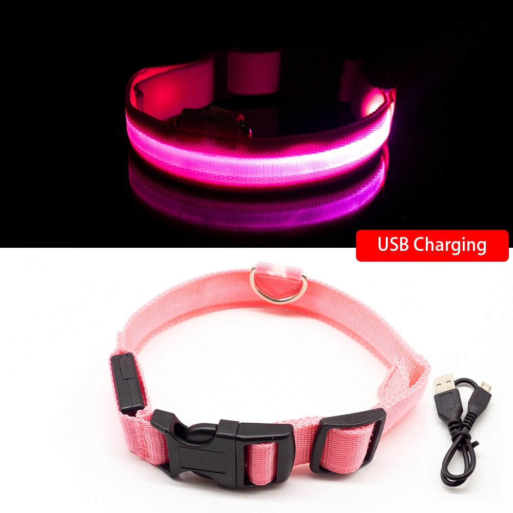 Safety Led Dog Collar