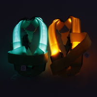 Thumbnail for Safety LED Dog Safety Harness