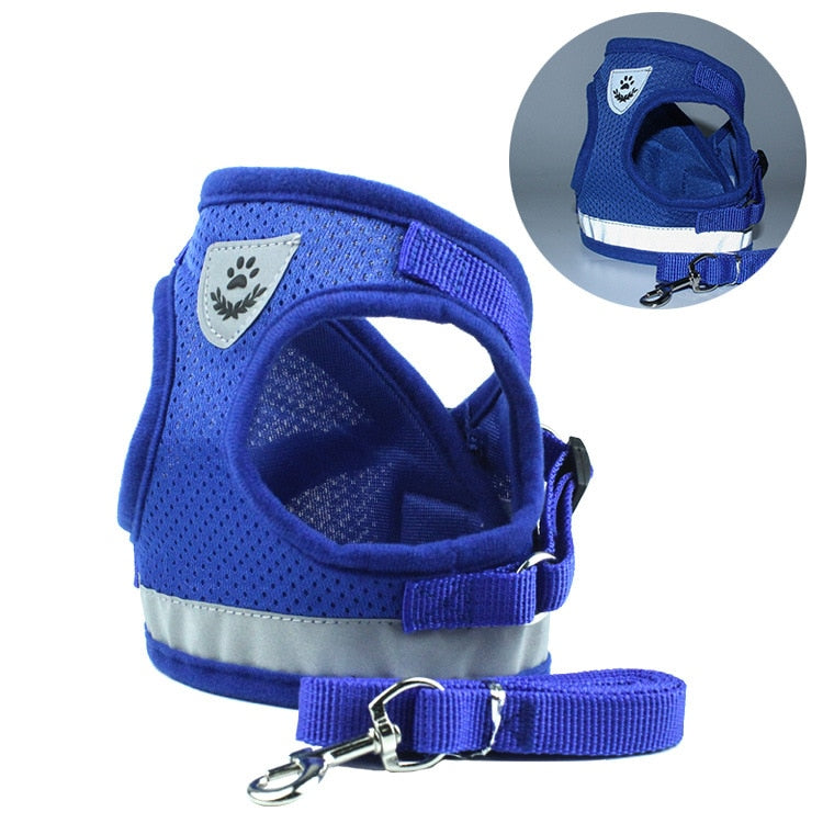 Dog Harness and Leash Set