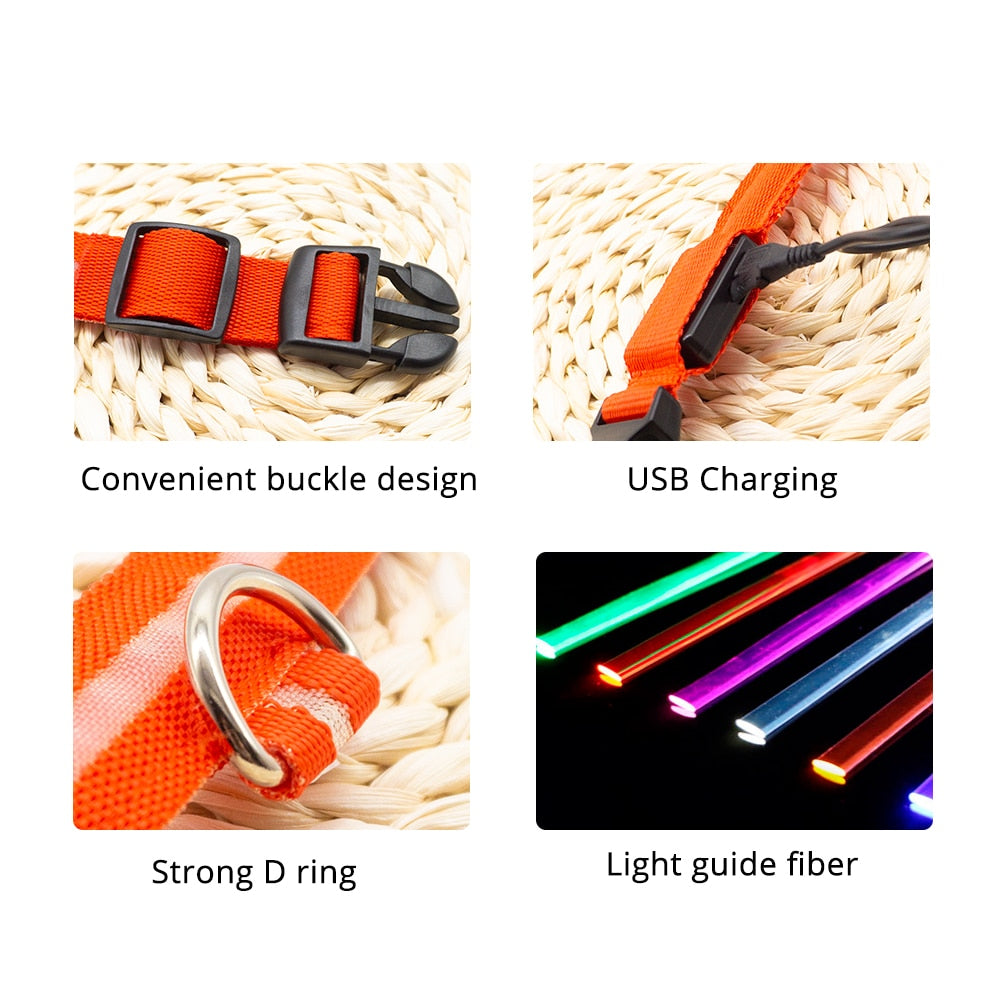 Safety Led Dog Collar