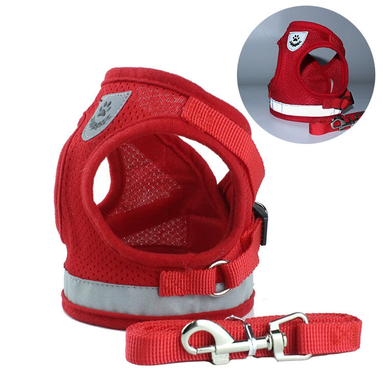 Dog Harness and Leash Set