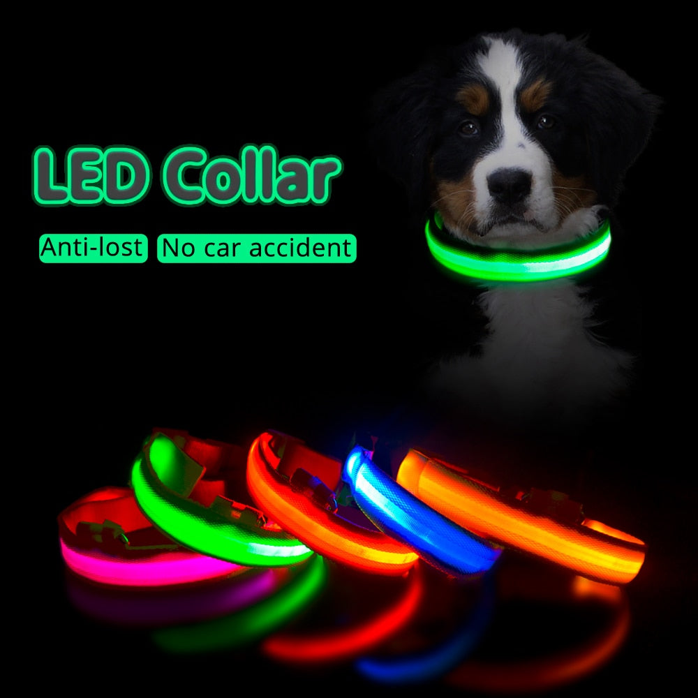 Safety Led Dog Collar