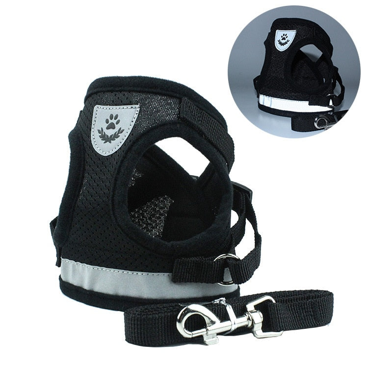 Dog Harness and Leash Set