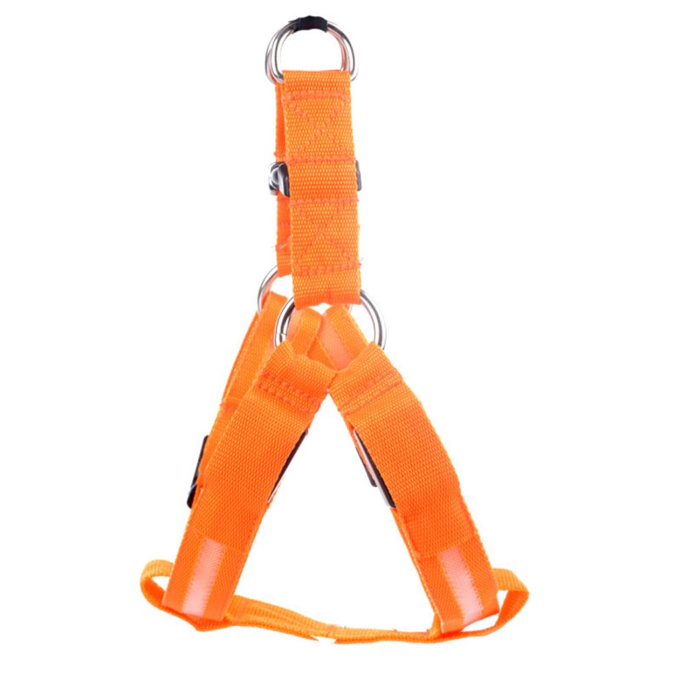 Safety LED Dog Safety Harness