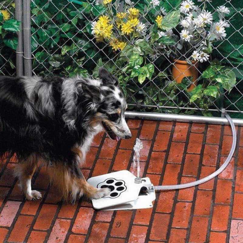Doggy Outdoor Drinking Fountain