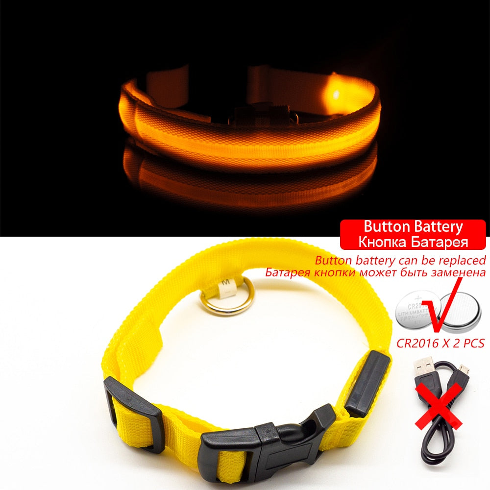 Safety Led Dog Collar