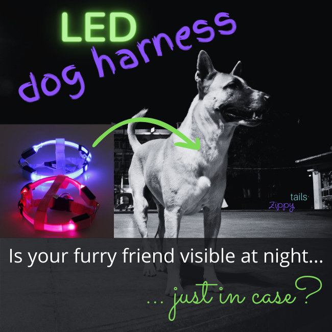 Safety LED Dog Safety Harness